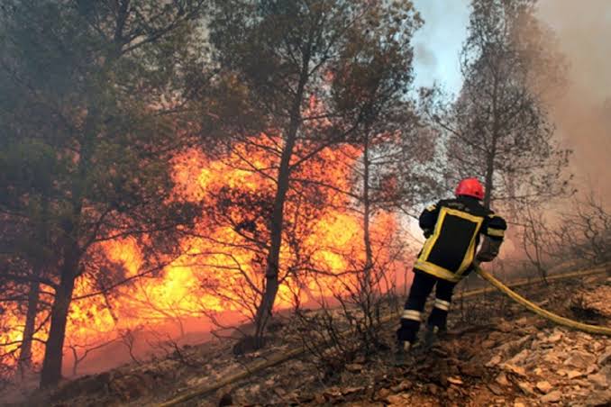 Incendies de forêt : importante mobilisation au Kef et à Siliana
