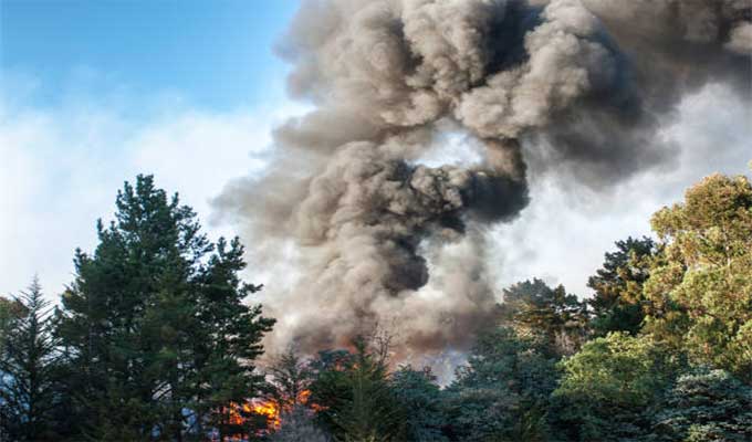 Tunisie : 50 incendies de forêt depuis le début de l’été, les autorités appellent à la plus grande vigilance