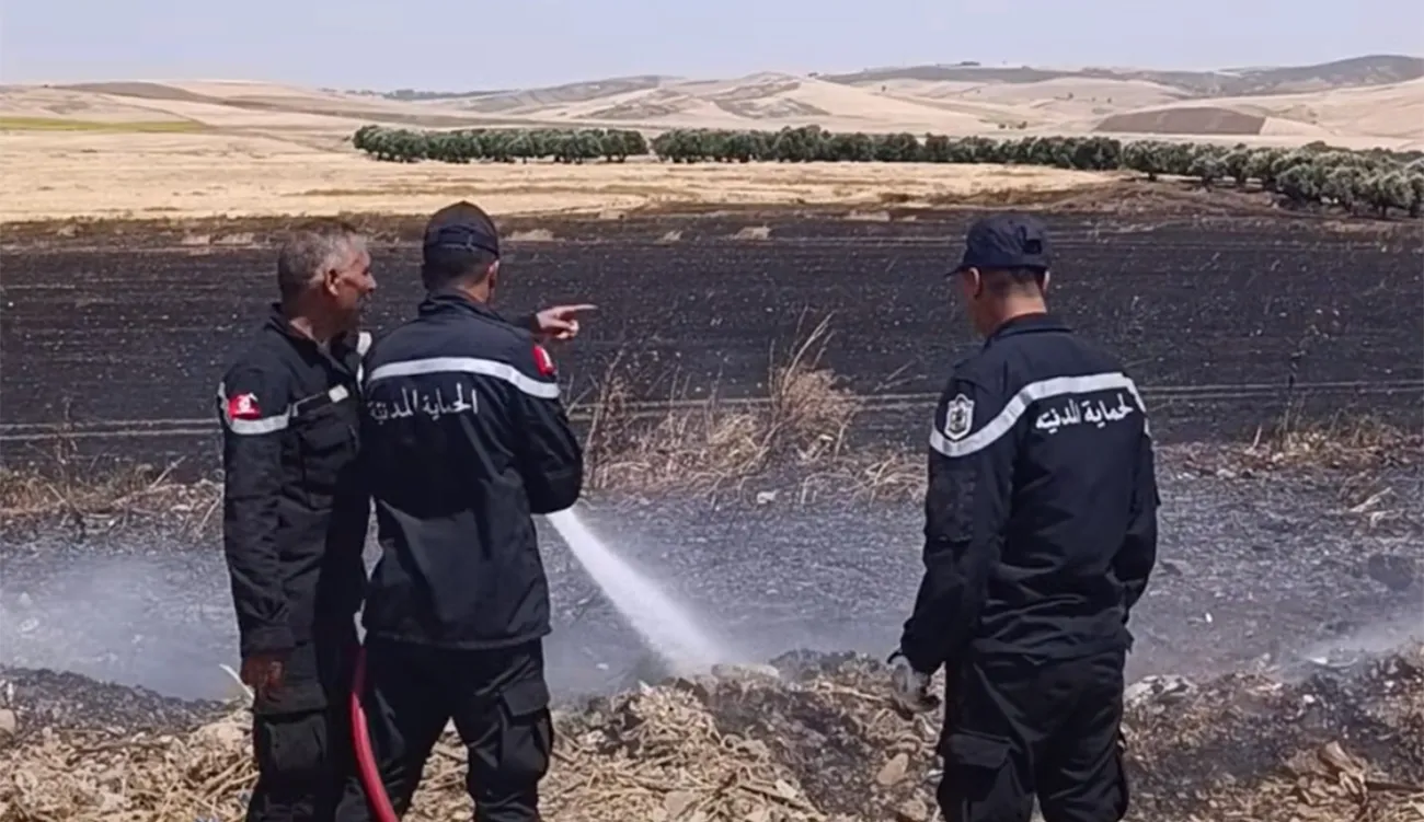 Jendouba : l’incendie d’Oued Ettout Bou Hertma maîtrisé