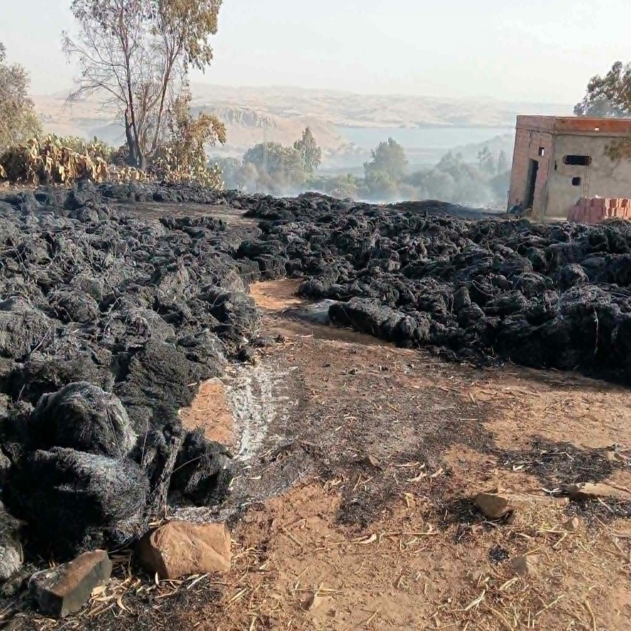 السيطرة على عدد من الحرائق بولايات الشمال الغربي وتواصل ارتفاع درجات الحرارة مما يستوجب اليقظة التامة 