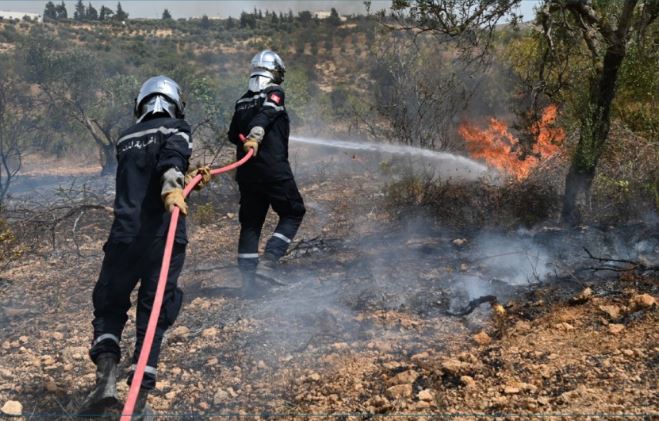 باجة: السيطرة على حريق هائل نشب بجبل الهري بمجاز الباب وأتى على نحو 20 هكتارا من الأشجار الغابية والنباتات