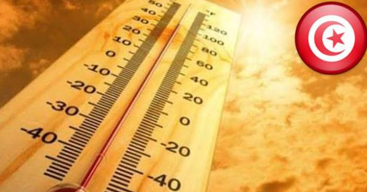 À Gafsa, la canicule met la région à rude épreuve