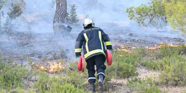 Incendie au Kef : Jbel Boughanem en proie aux flammes depuis quatre jours
