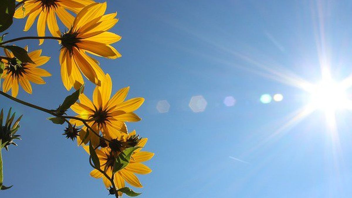 Canicule : jusqu’à 48°C attendus ce dimanche, une baisse des températures dès la semaine prochaine