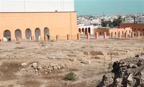 بن عروس: الموقع الاثري سيكون مفتوحا للعموم يومين نهاية كل أسبوع الى حين اعتماد صيغة مثلى لتنظيم زيارته