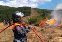 Protection civile : 914 interventions en 24 heures à travers le pays