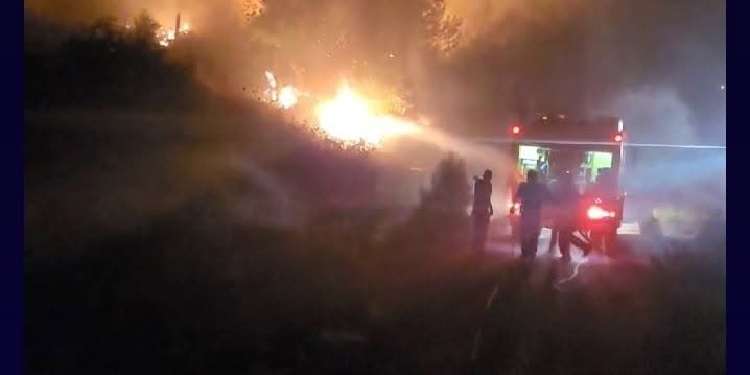 عين دراهم: حريق في منطقة سيدي محمد وتسجيل أضرار في الغابات والأشجار المثمرة