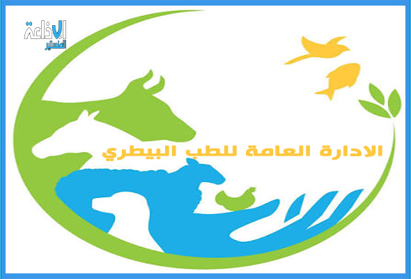 دعوة مربي الدواجن إلى اتخاذ إجراءات عاجلة لحماية القطعان من الإجهاد الحراري.