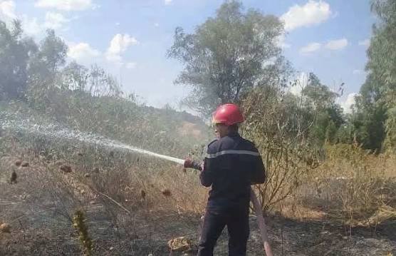 جندوبة: السيطرة على حرائق شهدتها الجهة وتسجيل اضرار متفاوتة
