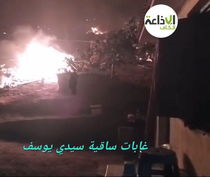 تواصل الجهود للسيطرة على حريق جبل تكرونة بساقية سيدي يوسف وحريقين بنفزة وتبرسق  