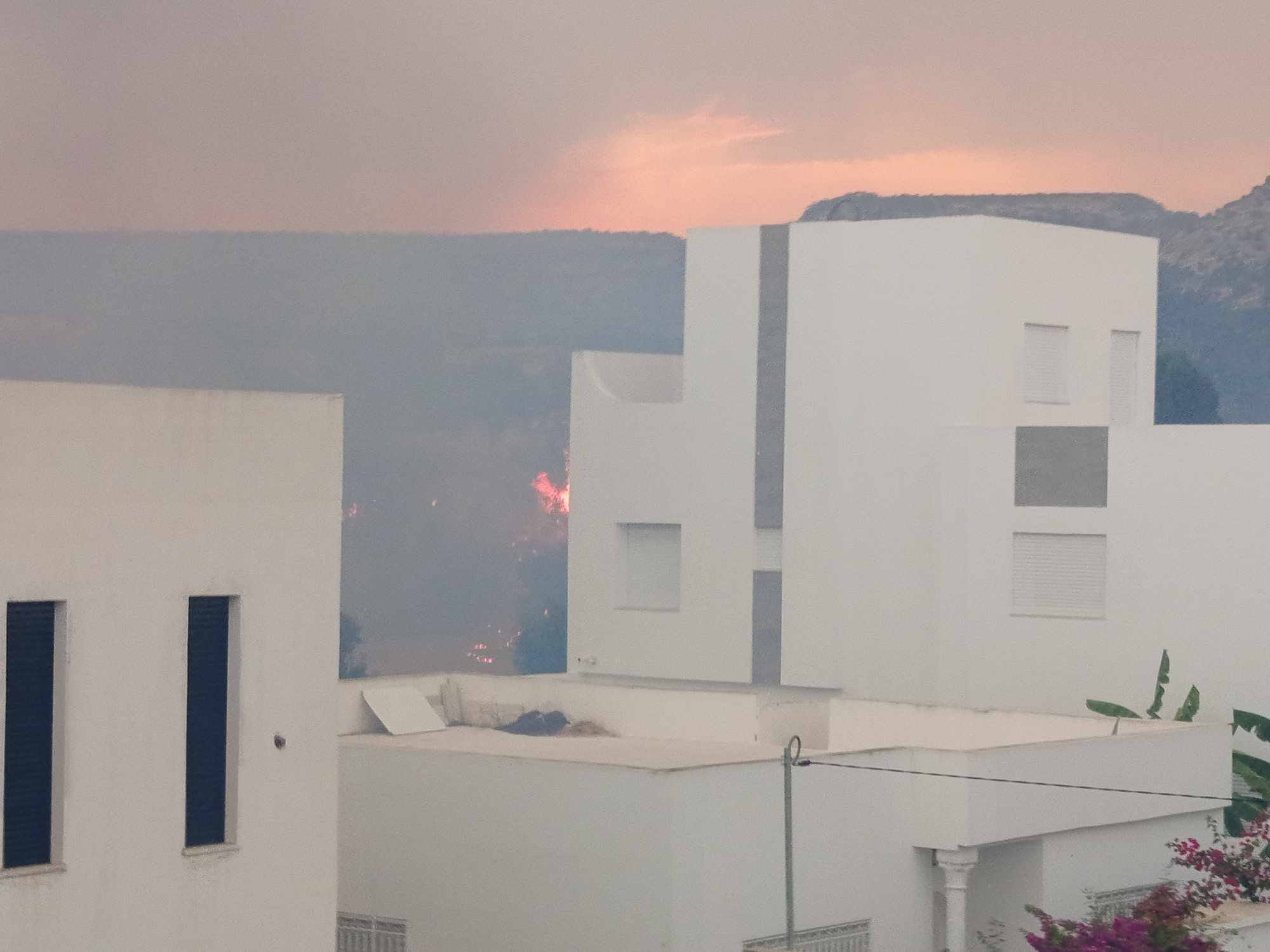 نابل: السيطرة على عدد من الحرائق من بينها حريق بمنطقة عين كميشة اتى على 15 هكتارا من الاعشاب الجافة
