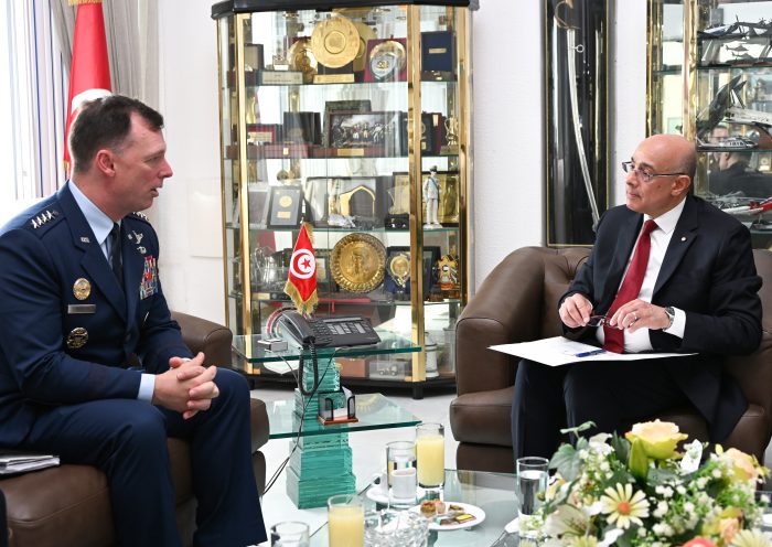 وزير الدفاع يبحث مع قائد القيادة العسكرية الأمريكية لإفريقيا تطوير الشراكة بين الجانبين