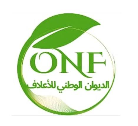 الديوان الوطني للاعلاف يقرر مراجعة سعر بيع الذرة العلفية لتصبح 863 دينارا للطن