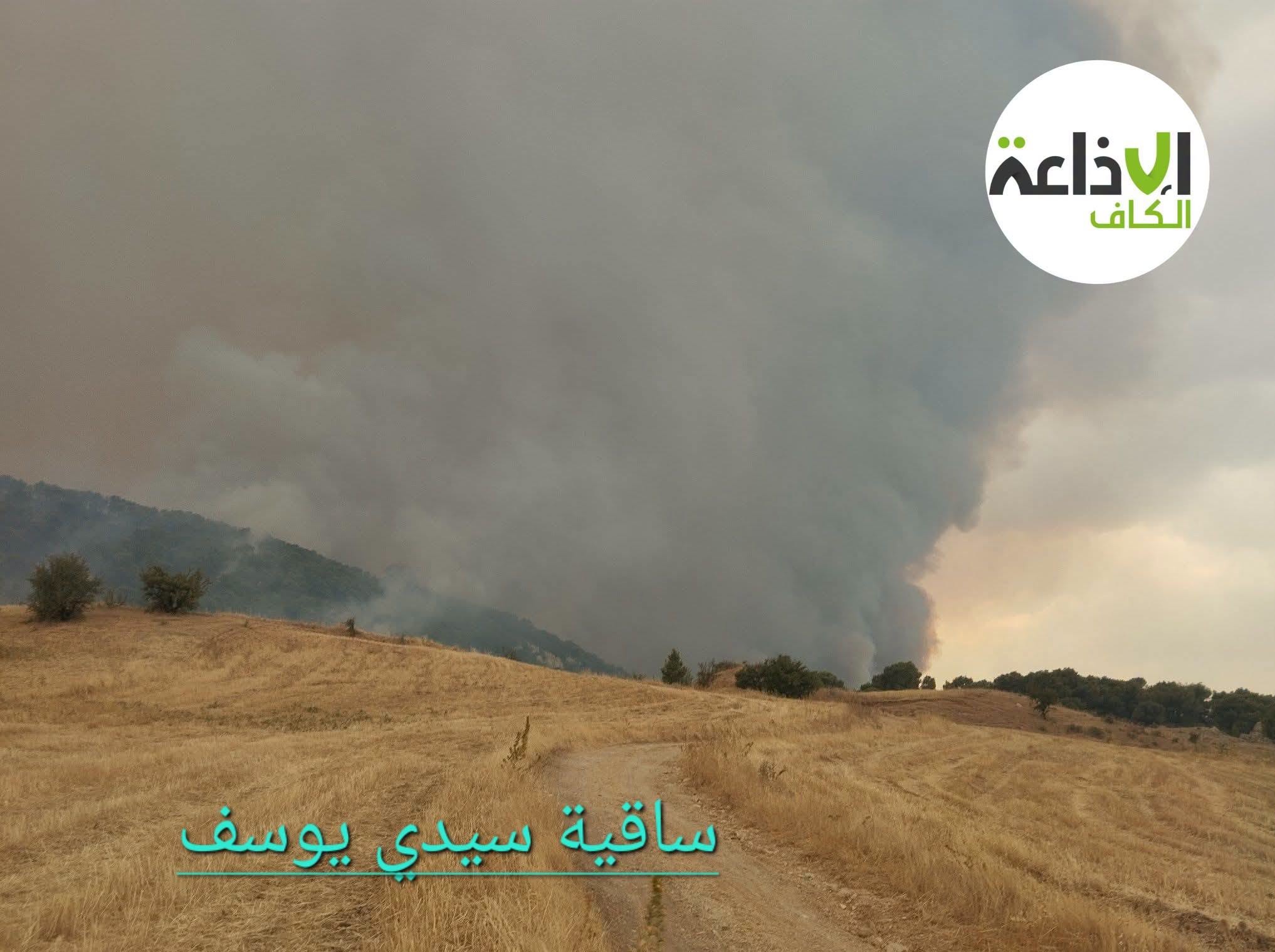 النائبة دلال اللموشي:  خسائر فادحة  بسبب الحرائق بولاية الكاف    و نطالب  بعقد مجلس وزاري خاص بالجهة  لايجادحلول عاجلة للانقطاعات المتواصلة لمياه الشرب   