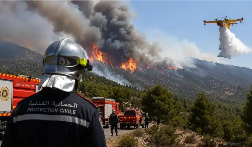 Le Kef : les secours mobilisés face à deux incendies de forêt toujours actifs