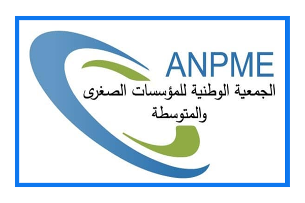 طاقة: تخزين الكهرباء الأسري حل مكلف وقليل النجاعة بالنسبة للشبكة الوطنية.