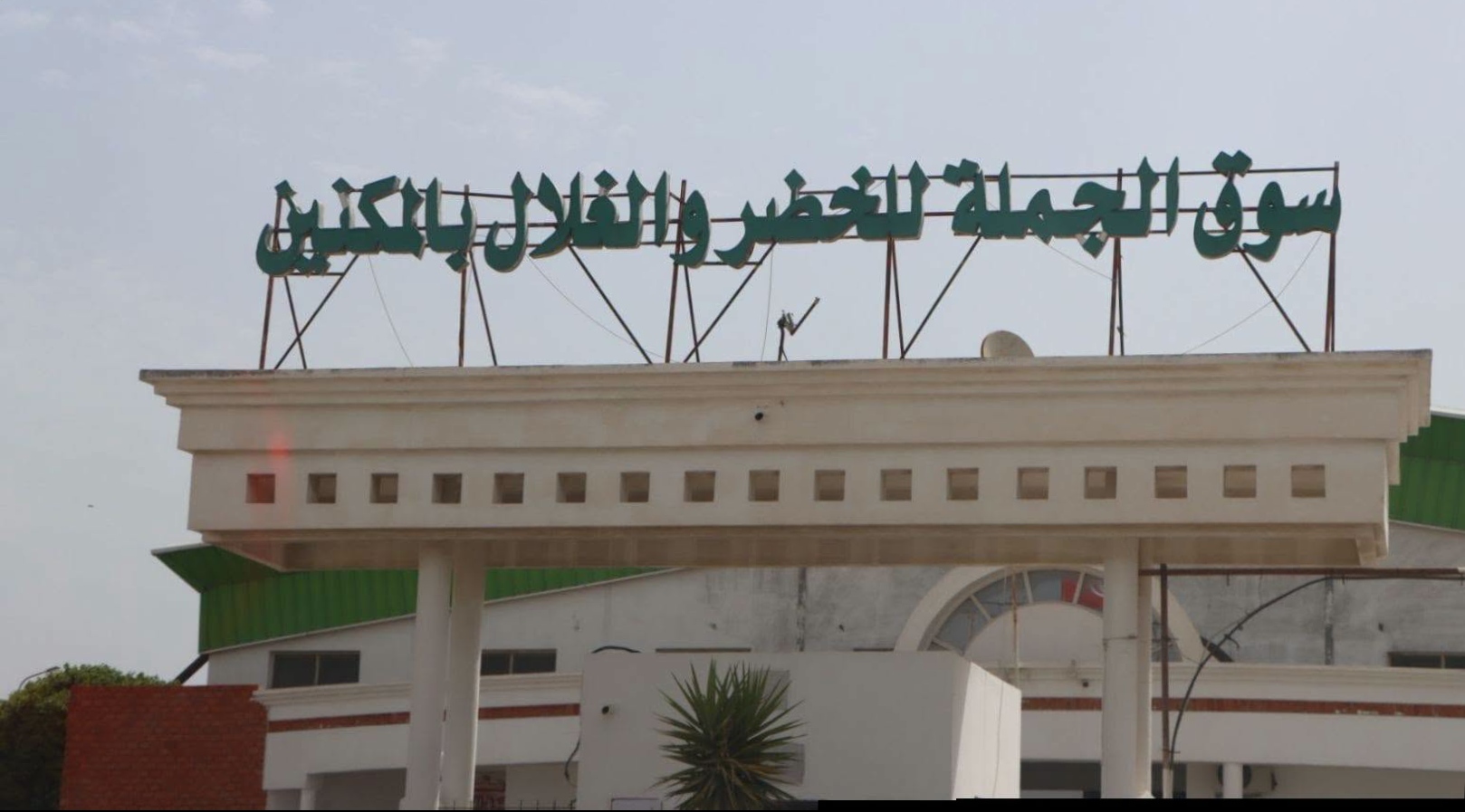 المنستير: الانطلاق رسميا بالعمل بمنظومة الفوترة الإلكترونية بسوق الجملة للخضر والغلال بالمكنين يوم 15 أوت