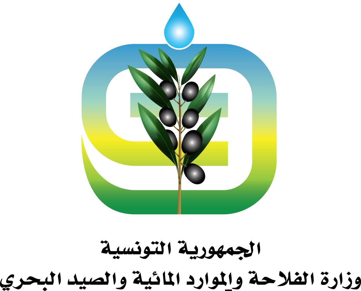 توضيح بخصوص استرتيجية وزارة الفلاحة لتخزين القمح في ظل الأوضاع العالمية.