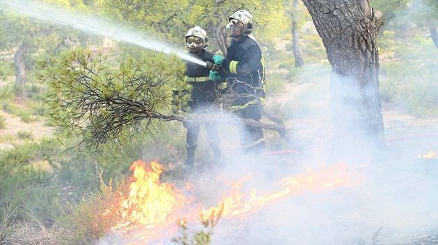 الحماية المدنية : إطفاء 137 حريقا خلال الــ 24 ساعة الماضية