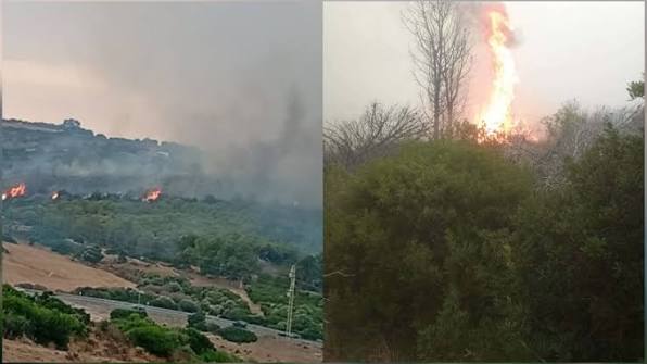 نابل: السيطرة على حريق جبل دلاج هنشير الشادلي بمعتمدية تاكلسة وتواصل عملية التبريد
