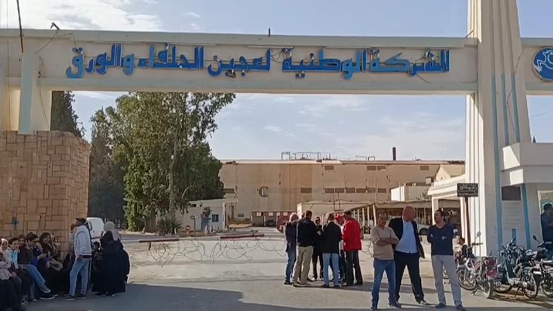 القصرين: شركة عجين الحلفاء تؤمّن كامل حاجيات الكتاب المدرسي للموسم الحالي وتشرع في إنتاج ورق الكراس