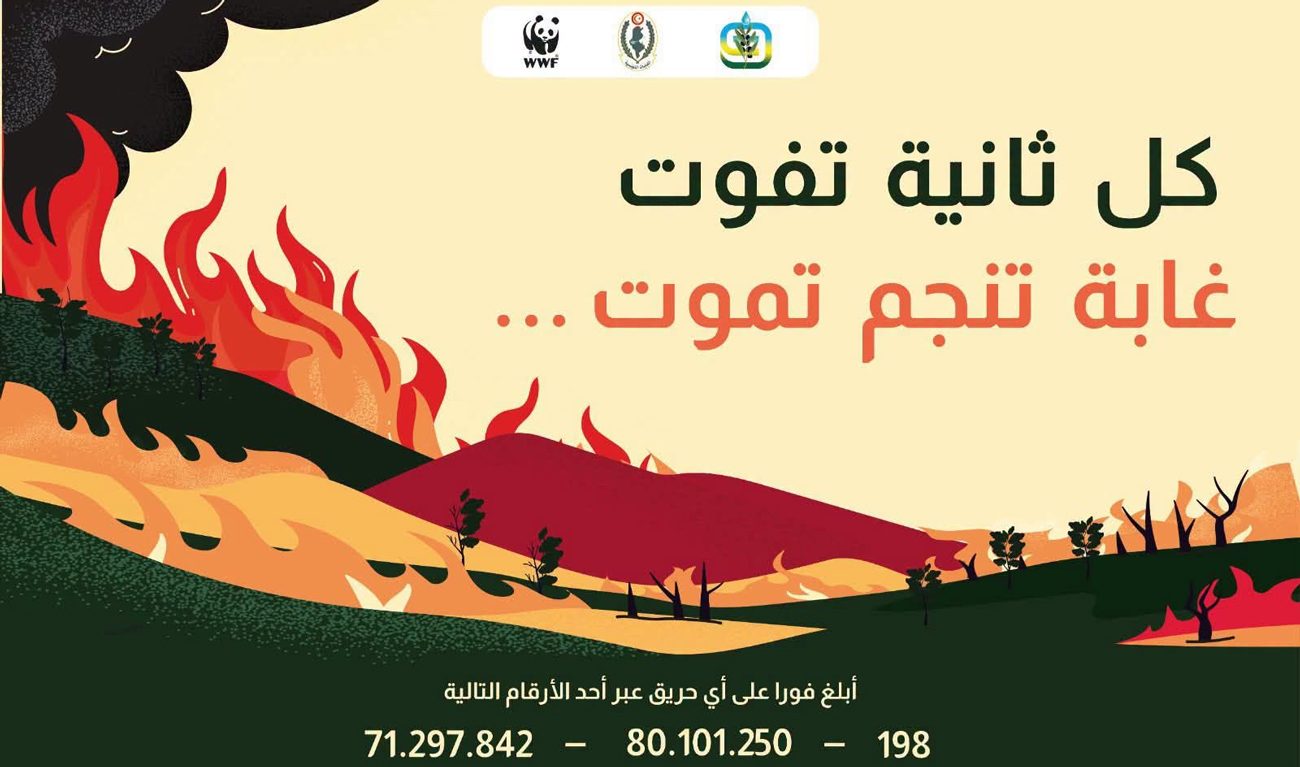"كل ثانية تفوت غابة تنجم تموت": حملة لدعوة المواطنين إلى اليقظة وحثهم على الإبلاغ السريع عن الحرائق