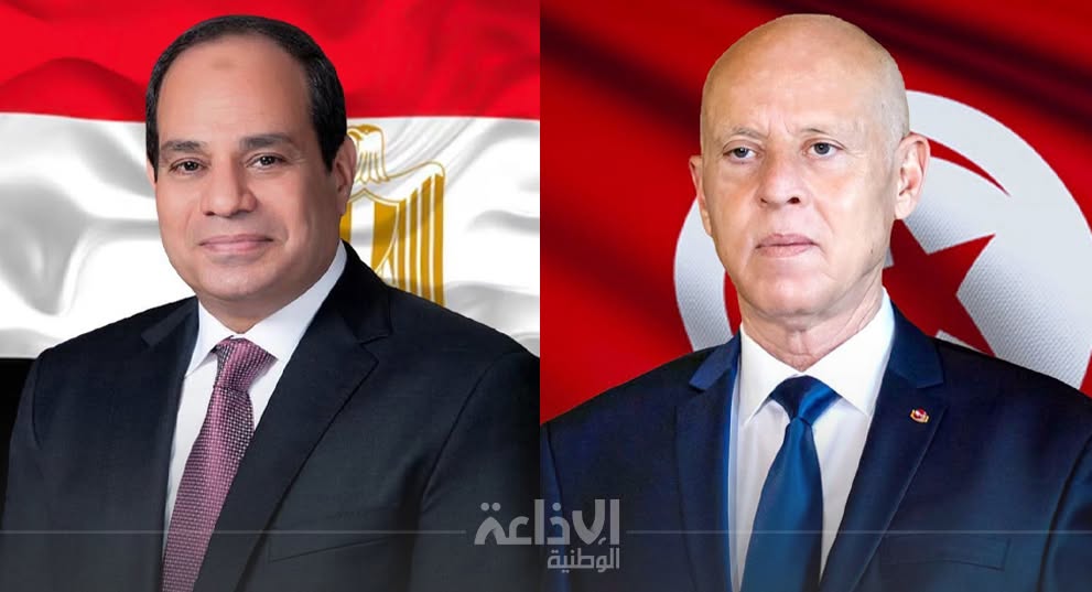 رئيس الجمهورية:  أمن مصر هو جزء من الأمن القومي العربي... والحل في ليبيا لا يمكن أن يكون إلا ليبيا ليبيّا
