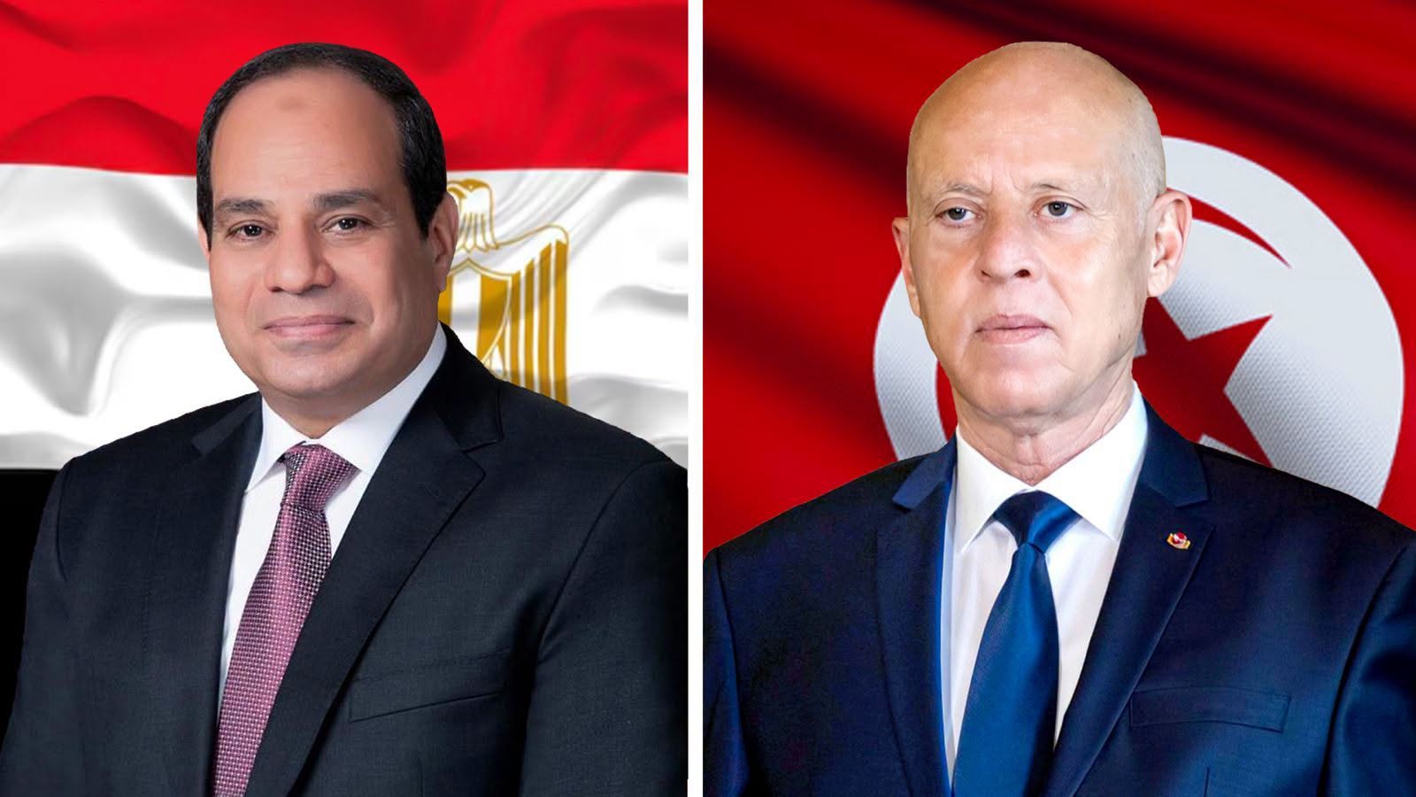 في مكالمة هاتفية بين رئيس الجمهورية ونظيره المصري .. تأكيد على مزيد تطوير العلاقات بين البلدين في كافة المجالات