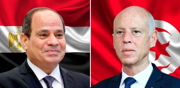 في مكالمة هاتفية بين رئيس الجمهورية ونظيره المصري .. تأكيد على مزيد تطوير العلاقات بين البلدين في كافة المجالات
