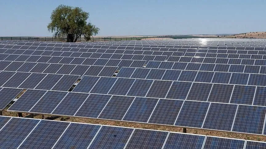 الغرفة الوطنية للطاقة الفولطاضوئية تدعو إلى تسريع الانتقال الطاقي باختصار الآجال ورقمنة الإجراءات