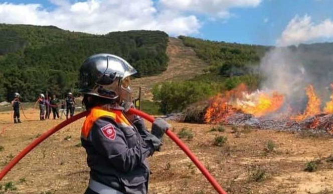 Incendies : le ministère de l'Agriculture renforce sa stratégie de prévention