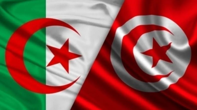 جلسة عمل تونسية جزائرية لتعزيز التعاون وتبادل الخبرات في مجال التكوين المهني