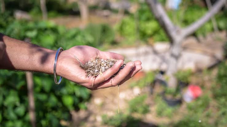 الجمعية التونسية للزراعة المستديمة تعمل من أجل تحقيق فلاحة مستديمة ومرنة ومتجذرة في المعارف المحلية