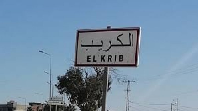 الكريب: إتلاف 1553 شتلات كروم  مجهولة المصدر بمنطقة الهمايل 