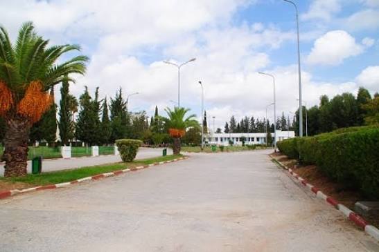 المعهد العالي للرياضة والتربية البدنية بقصر السعيد يحقق إنجازين علميين جديدين