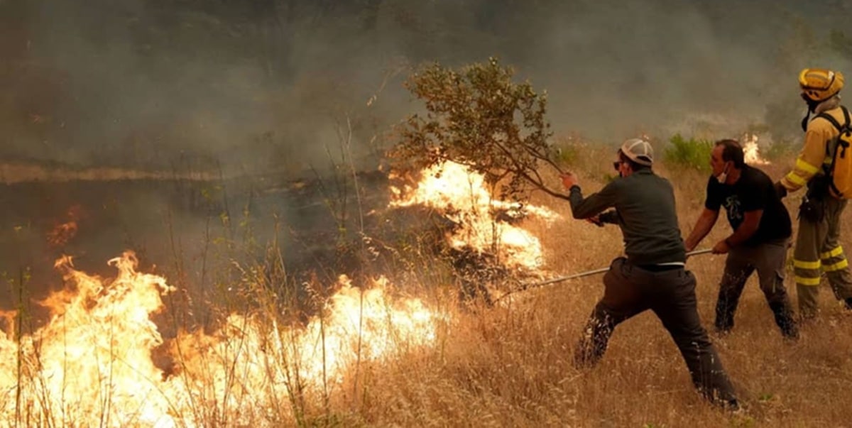 Incendies de forêt : les agents forestiers tirent la sonnette d’alarme
