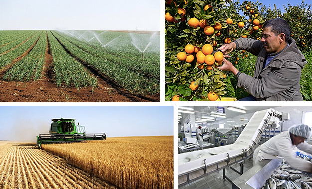 La CONECT plaide pour un statut juridique de l’agriculteur