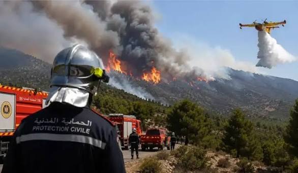 Drame à Gafsa : deux pompiers perdent la vie après une intervention