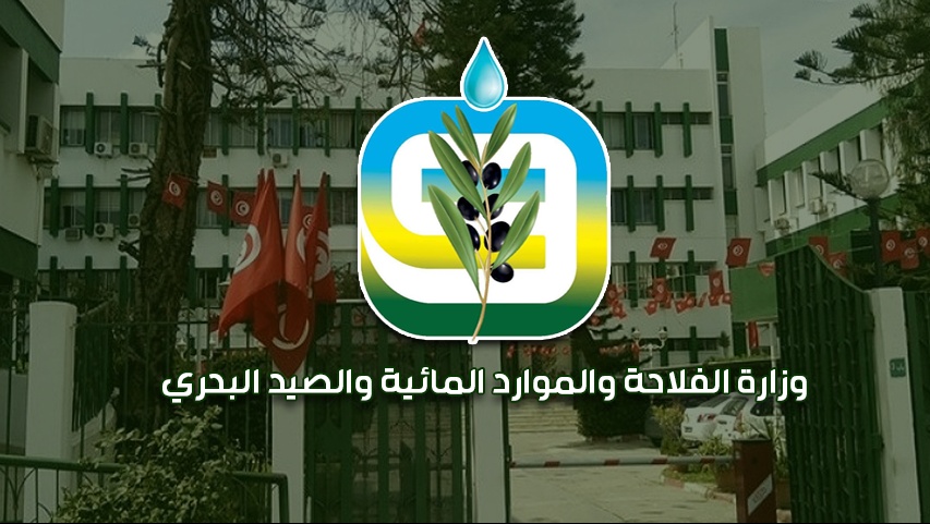وزارة الفلاحة : إسناد تراخيص صنع وتوريد مراكب الصيد البحري يخضع لشروط فنية وإطار قانوني محدد