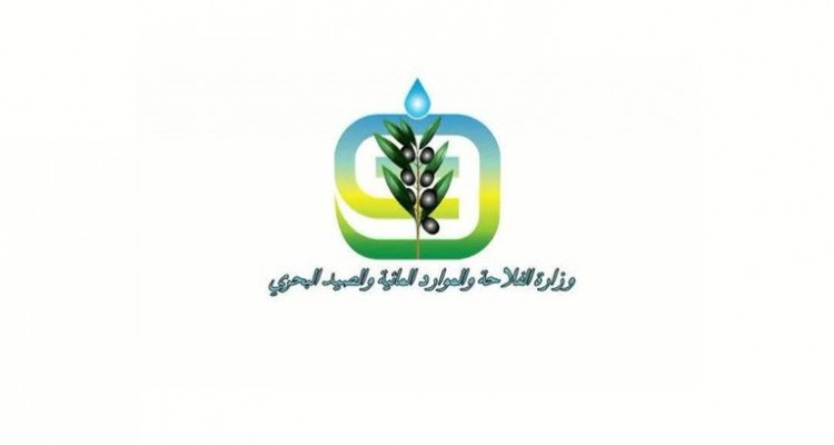 وزارة الفلاحة: صرف منح الاستثمار الفلاحي يتم عبر البنك الفلاحي أو بنك التضامن بعد استكمال الإجراءات القانونية