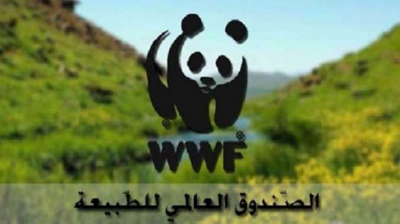 الصندوق العالمي للطبيعة يطلق مشروع "ايكوسيف" لتحويل النفايات البحرية ودعم الاقتصاد الدائري