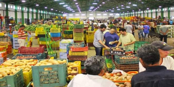 تحسن التزويد بسوق الجملة ببئر القصعة خلال شهري جوان وجويلية 2026 يدعم تراجع أسعار عدد من الخضر والغلال والأسماك