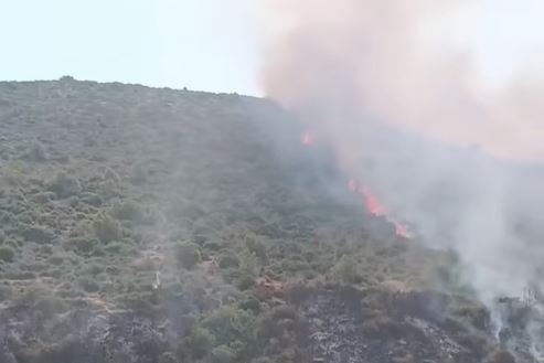 باجة: السيطرة على حريق جبل سيدي أحمد بنفزة