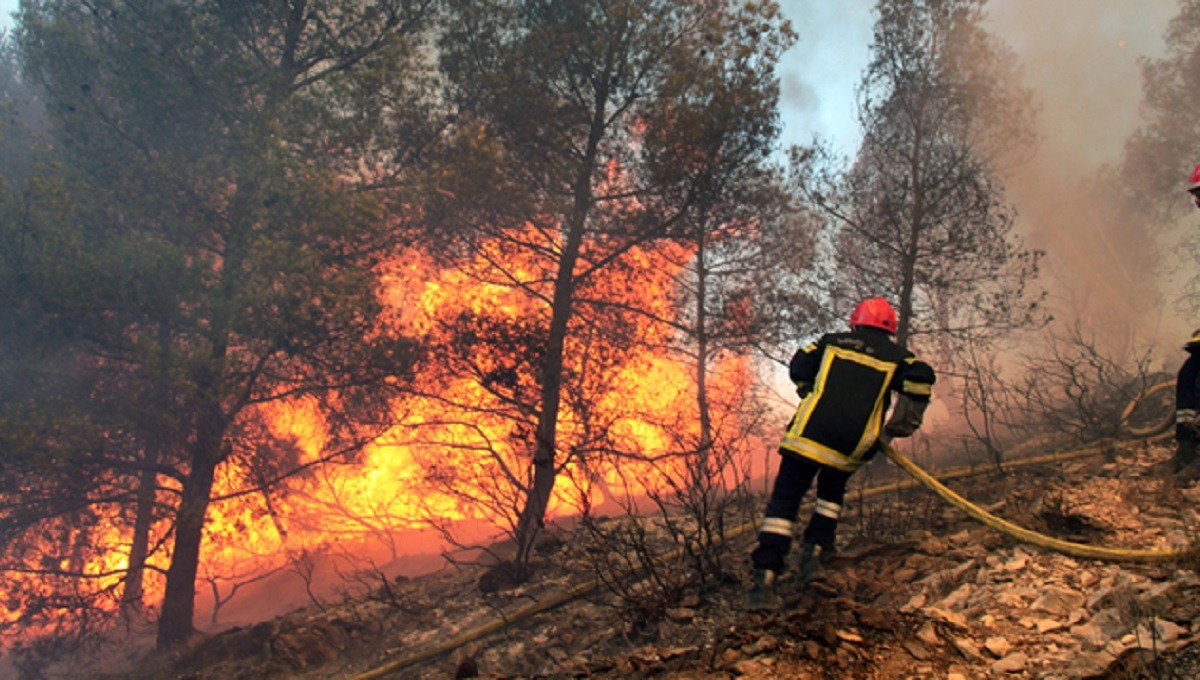 Deux jours de lutte contre les incendies à Jendouba et Siliana et la mobilisation se poursuit sans relâche