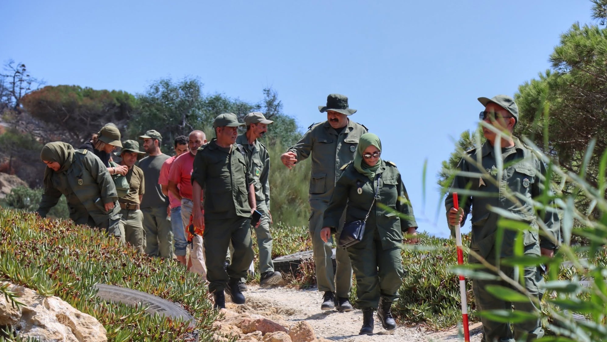 Reboiser trop vite après les incendies peut fragiliser davantage les forêts. La Direction des forêts mise d’abord sur la régénération naturelle