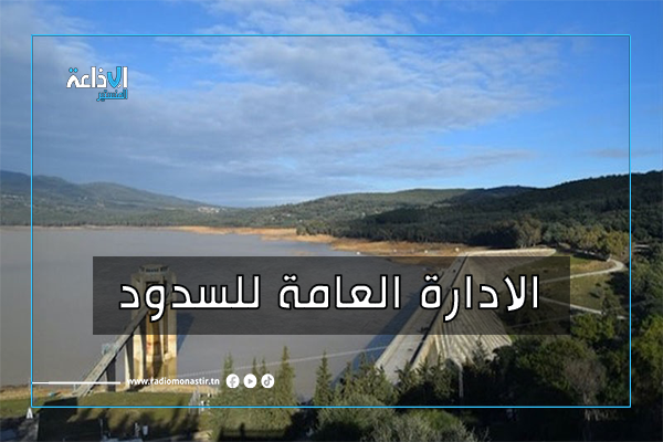 تاكيد العمل على تذليل الصعوبات المتعلقة بإنجاز مشروع سد السعيدة.