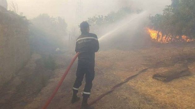 سليانة: السيطرة على حريق جبل المرقب بنسبة تفوق 98 بالمائة