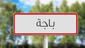 باجة: التباحث بشأن الاستعداد الجيد للموسم القادم للزراعات الكبرى