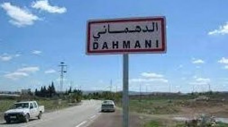 النائبة دلال اللموشي تدعو السلطة الجهوية إلى الضغط على المقاولين المكلفين بإنجاز عدد من المشاريع بمعتمدية الدهماني