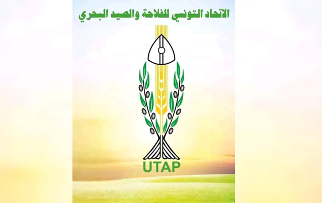 اتحاد الفلاحة يدعو البنك المركزي إلى إصدار النصوص الترتيبية المتعلقة بإسقاط ديون الفلاحين